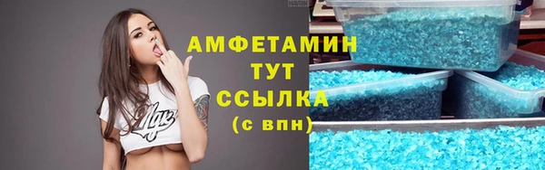 твердый Новозыбков