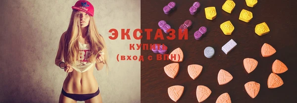 твердый Новозыбков