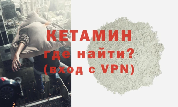 твердый Новозыбков
