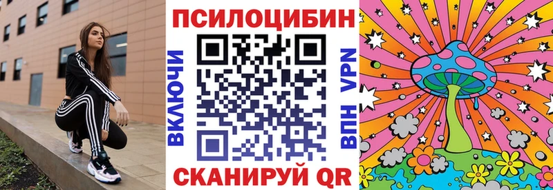 Галлюциногенные грибы прущие грибы  Черкесск 