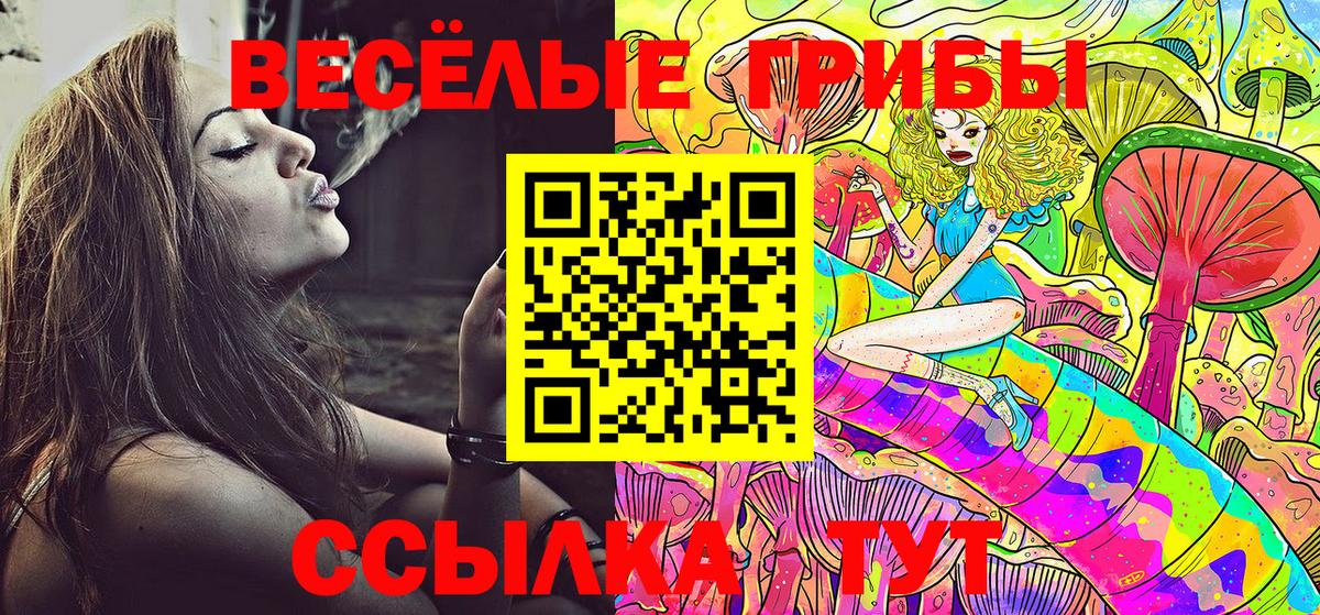 Черкесск  Псилоцибиновые грибы мицелий  Псилоцибиновые грибы Psilocybe  Вход с VPN 