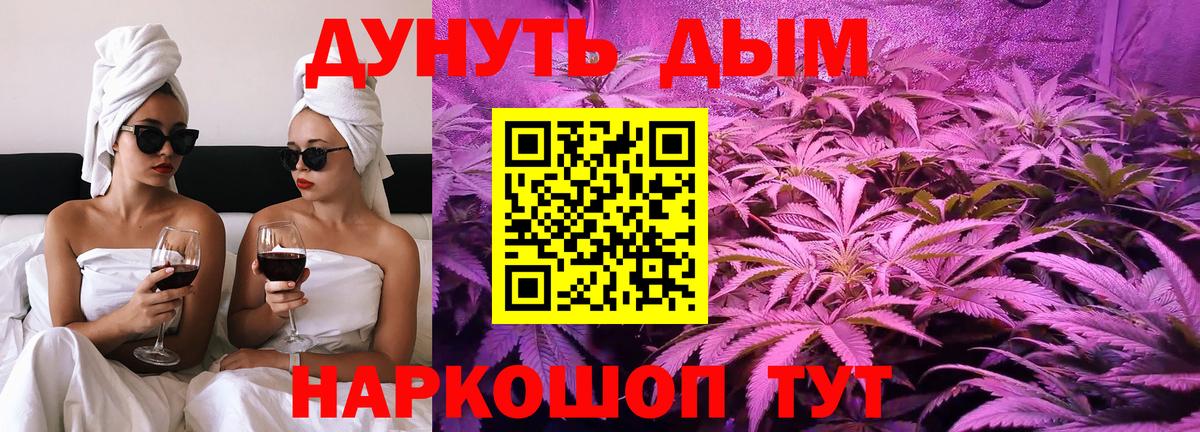 Черкесск  Бошки марихуана тримм  Вход с VPN  МАРИХУАНА планчик 